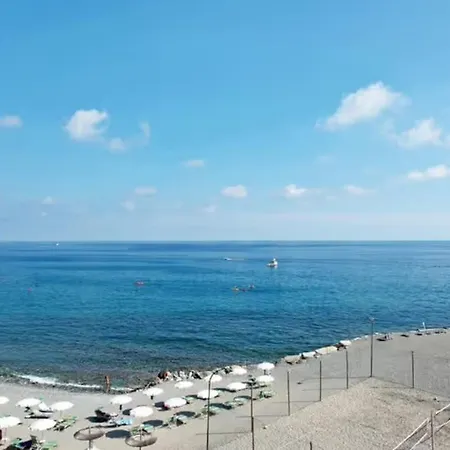 La Conchiglia *